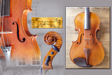 Pascal Douillard luthier